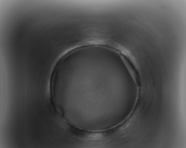 X0000088391174200705291402