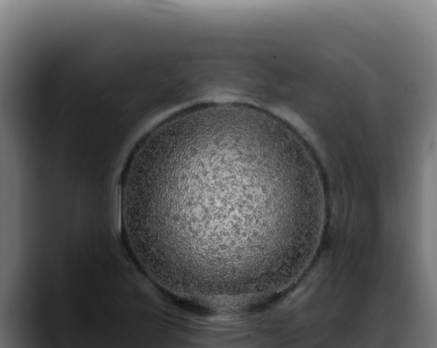 X0000088391175200705291402