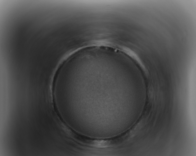 X0000088391176200705291402