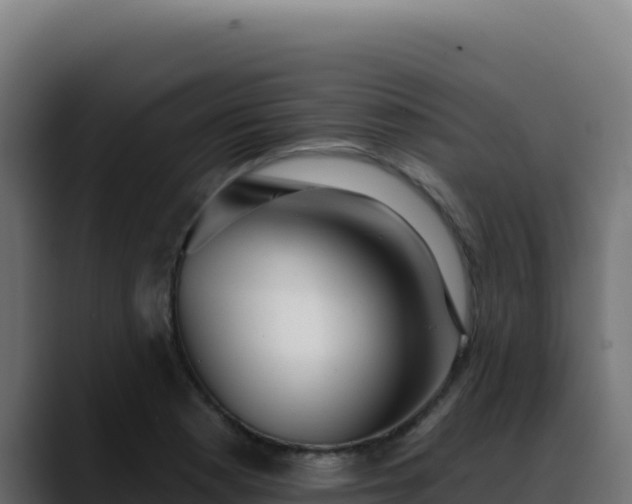 X0000088391177200705291402