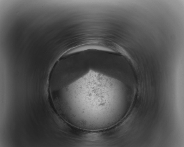 X0000088391178200705291402