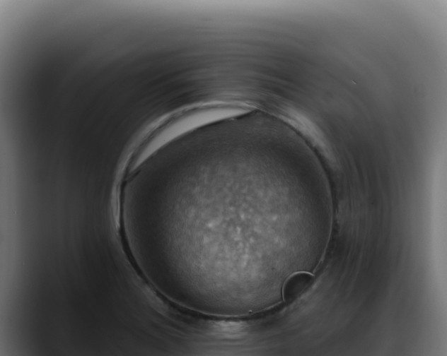 X0000088391180200705291402