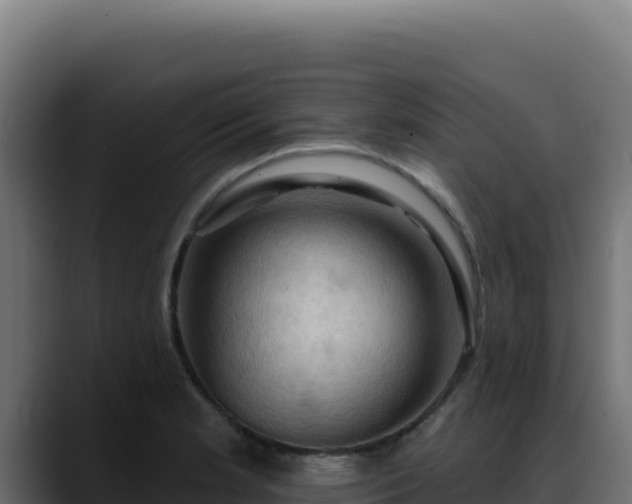 X0000088391181200705291402