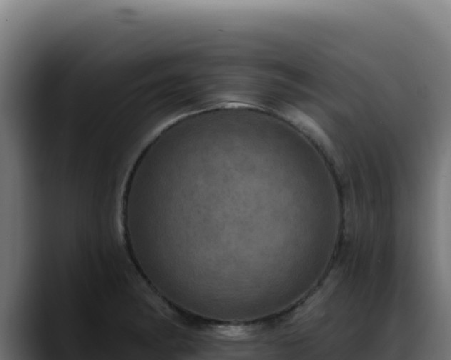 X0000088391182200705291402