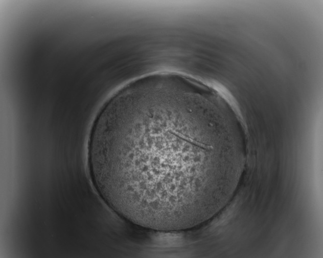 X0000088391183200705291402