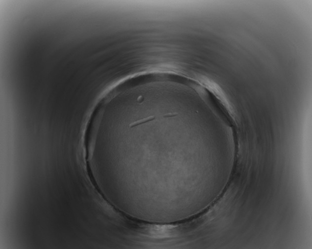 X0000088391184200705291402