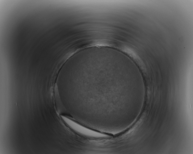 X0000088391185200705291402