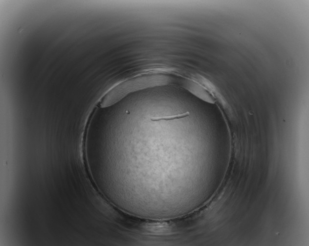 X0000088391186200705291402