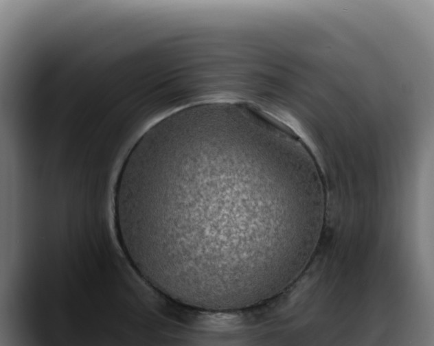 X0000088391187200705291402