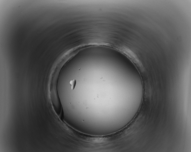 X0000088391188200705291402