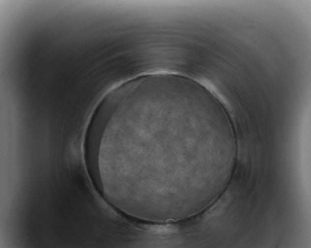 X0000088391189200705291402