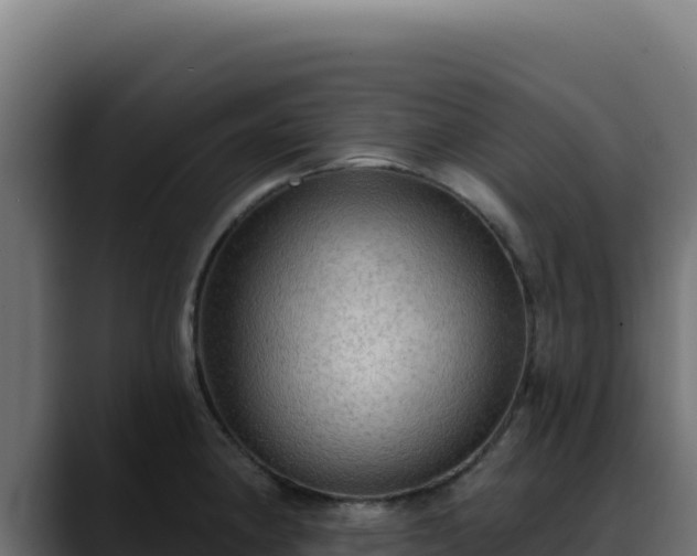 X0000088391190200705291402