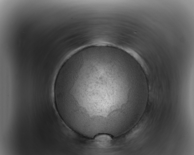 X0000088391191200705291402