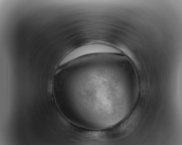 X0000088391193200705291402