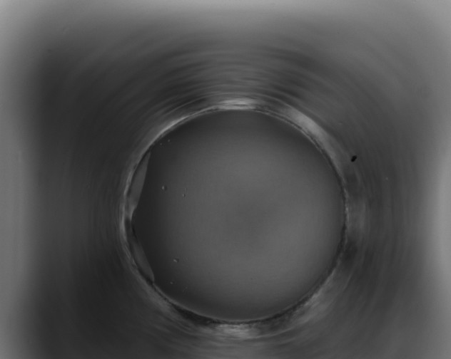 X0000088391194200705291402