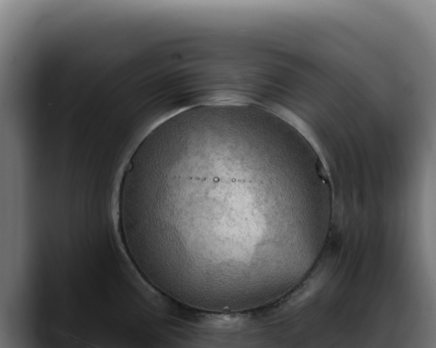 X0000088391195200705291402