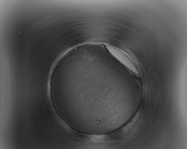 X0000088391196200705291402