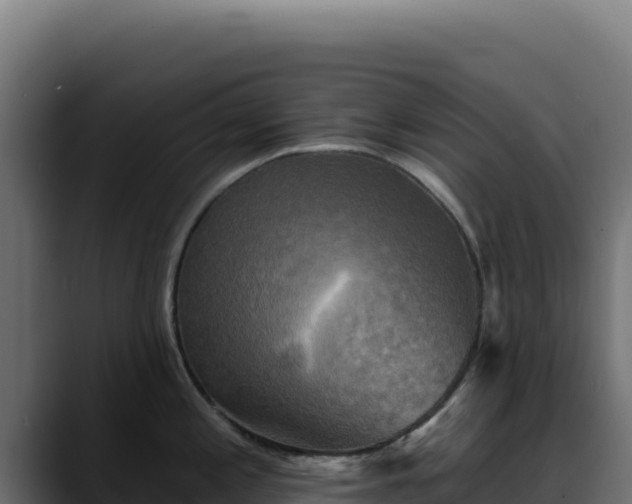 X0000088391197200705291402