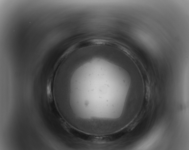 X0000088391198200705291402