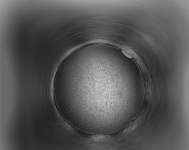 X0000088391199200705291402