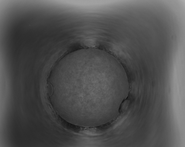 X0000088391201200705291401