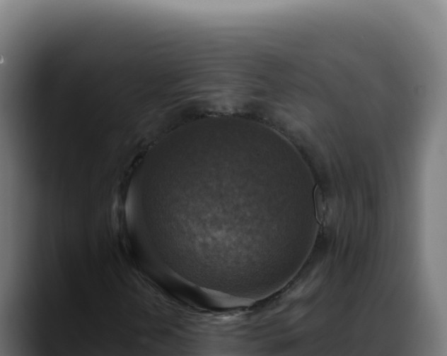 X0000088391202200705291401