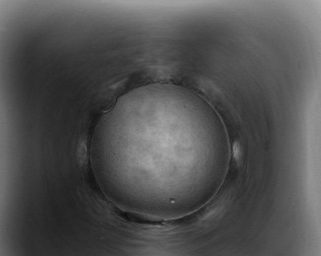 X0000088391203200705291401