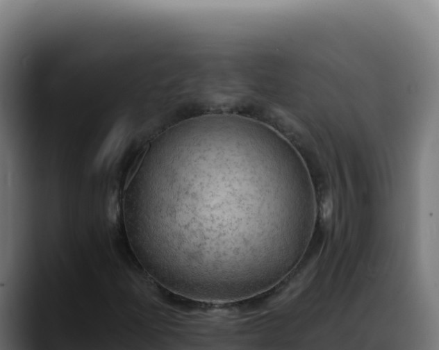 X0000088391204200705291401