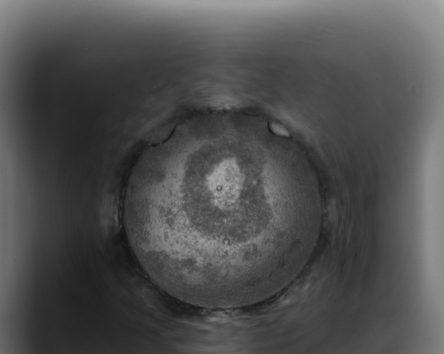 X0000088391205200705291401