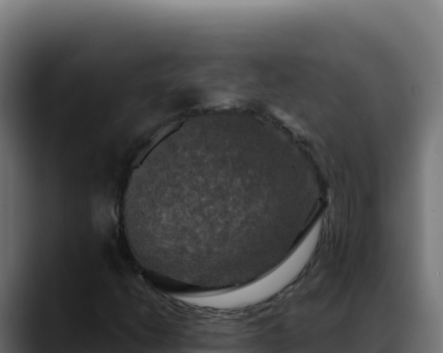 X0000088391206200705291401