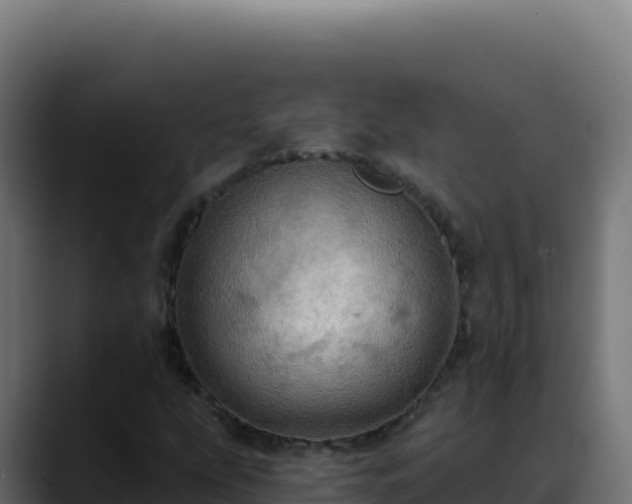 X0000088391207200705291401