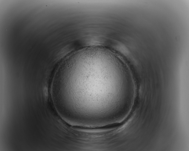 X0000088391209200705291401