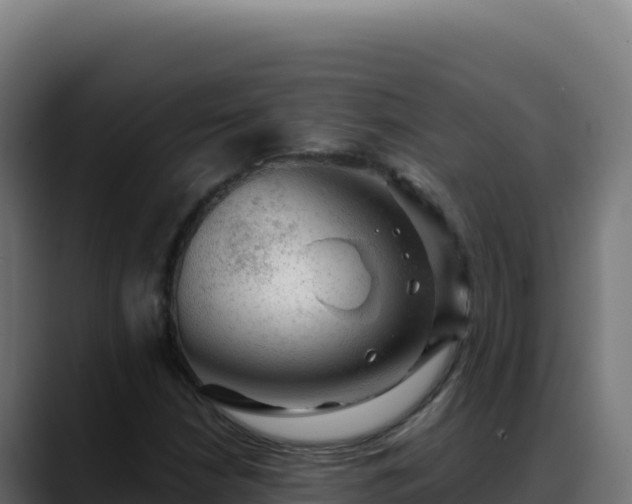 X0000088391210200705291401