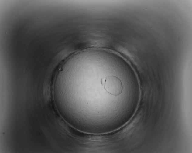 X0000088391211200705291401