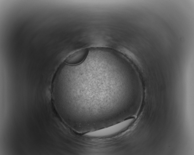 X0000088391212200705291401