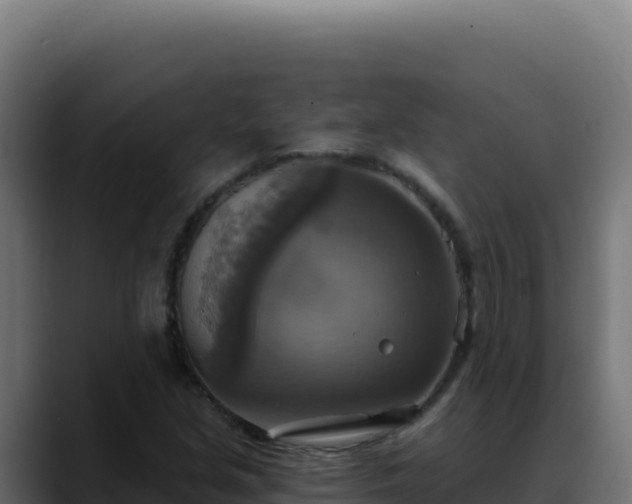 X0000088391213200705291401