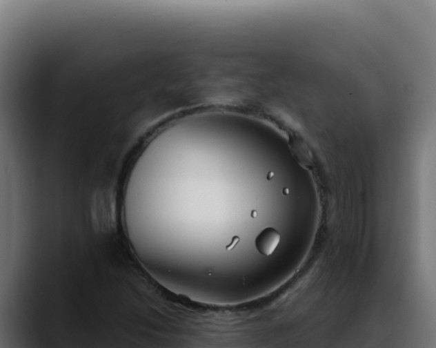 X0000088391214200705291401