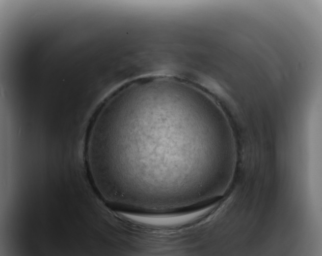 X0000088391216200705291401