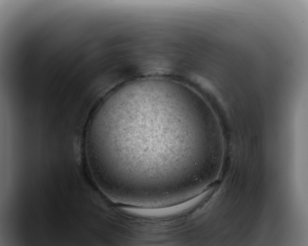 X0000088391217200705291401