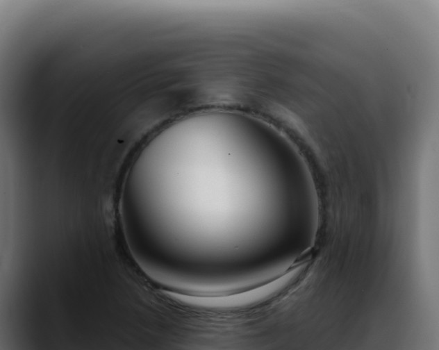 X0000088391218200705291401