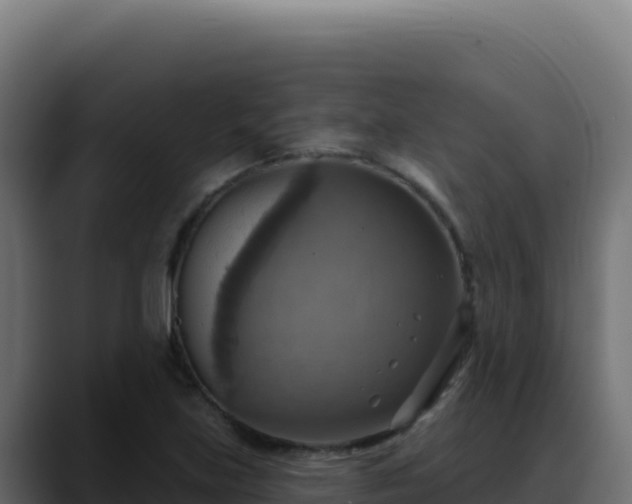 X0000088391219200705291401