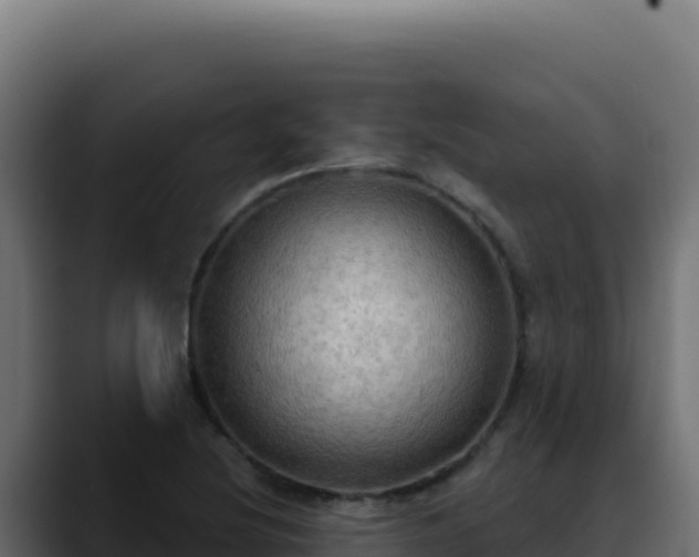 X0000088391220200705291401