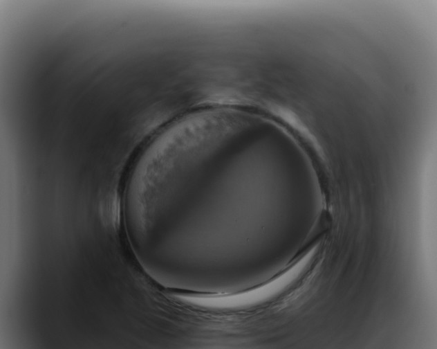 X0000088391221200705291401