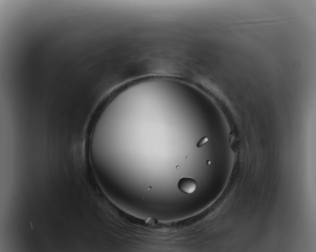 X0000088391222200705291401