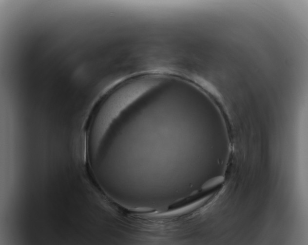 X0000088391223200705291401