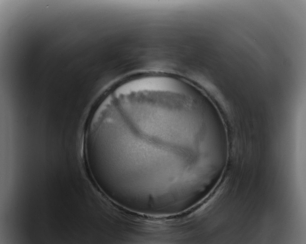 X0000088391224200705291401