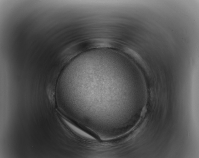 X0000088391225200705291401