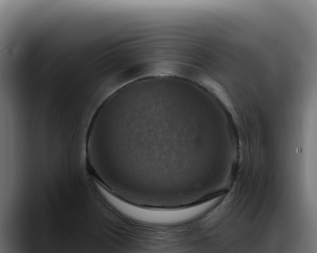 X0000088391226200705291401