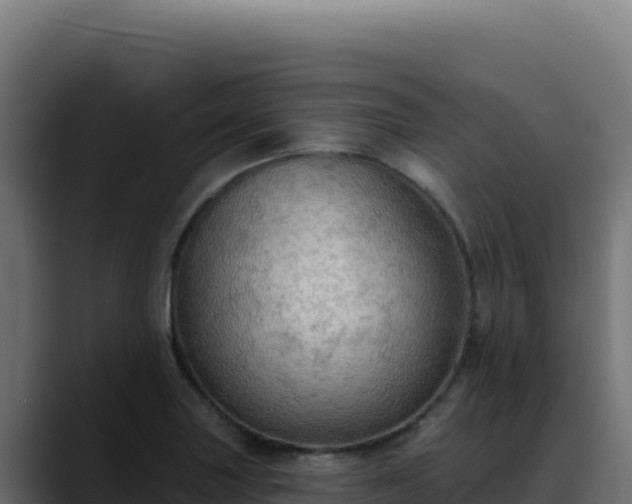 X0000088391227200705291401