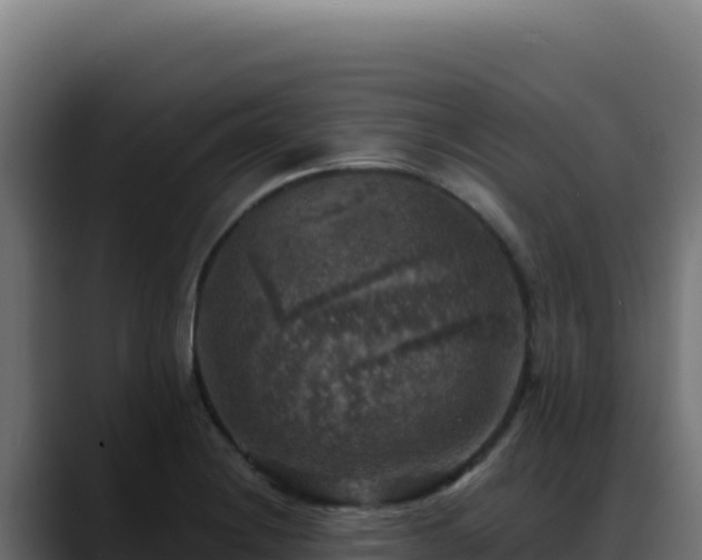 X0000088391228200705291401